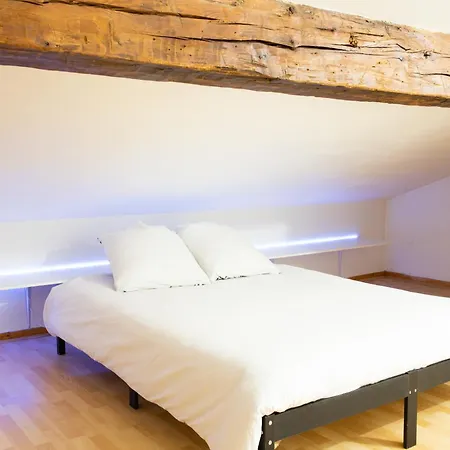 Ferienwohnung Grand Duplex Avec Billard Villeneuve-Tolosane Exterior foto